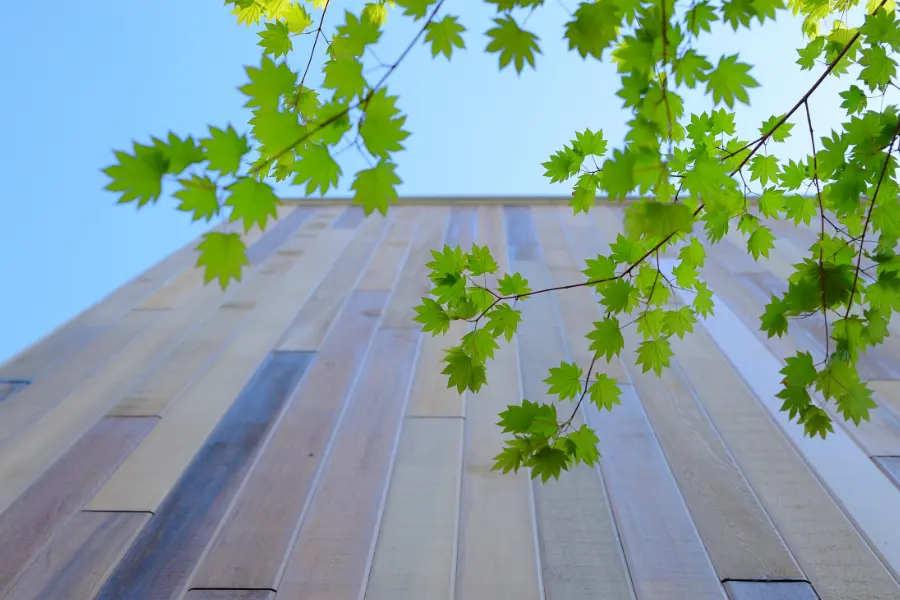 奏ショールーム