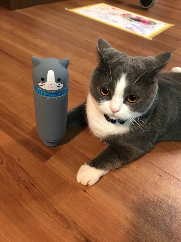 京都 城陽市 工務店スタッフ 猫好き