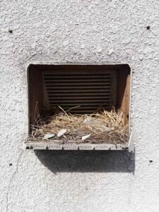 城陽市　換気カバーリフォーム　施行中